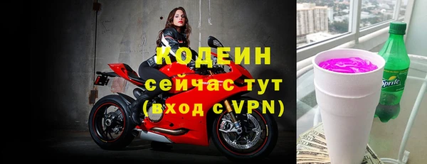 шишки Михайловск