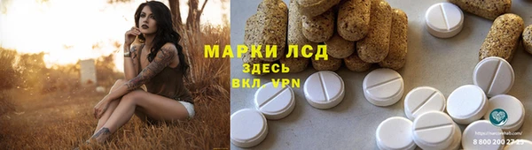 шишки Михайловск