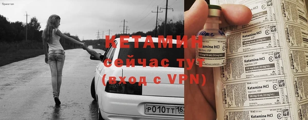 шишки Михайловск