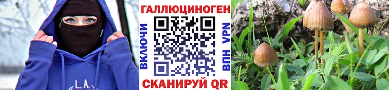 Псилоцибиновые грибы Psilocybe  МЕГА сайт  Хилок 